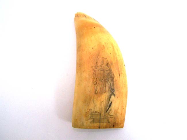 A Beautiful 19th century American Scrimshawed Whales Tooth With the Seal of the State of Rhode Island on one side and an archer on the other circa 1840.
